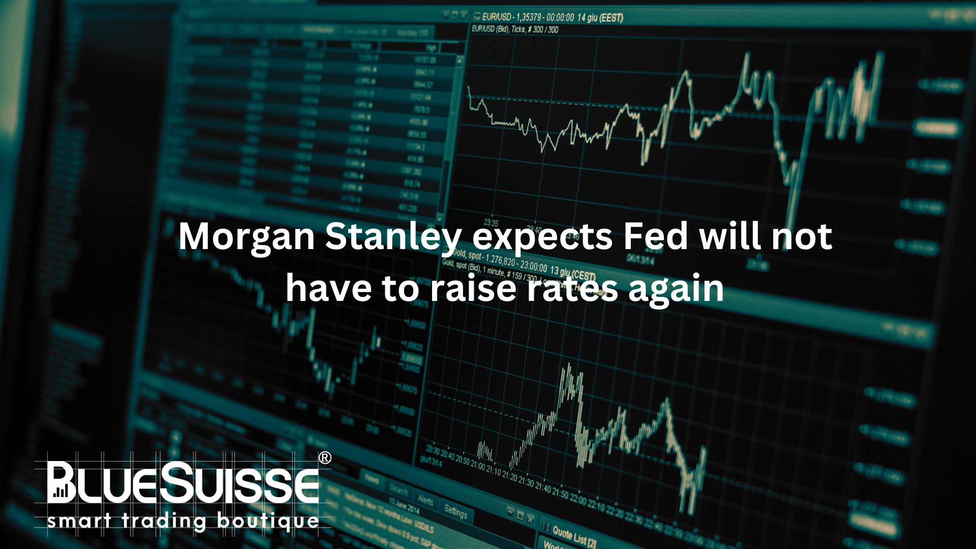 Morgan Stanley expects Fed will not have to raise rates again